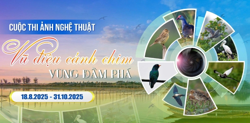 Cuộc thi ảnh nghệ thuật “Vũ điệu cánh chim vùng đầm phá”