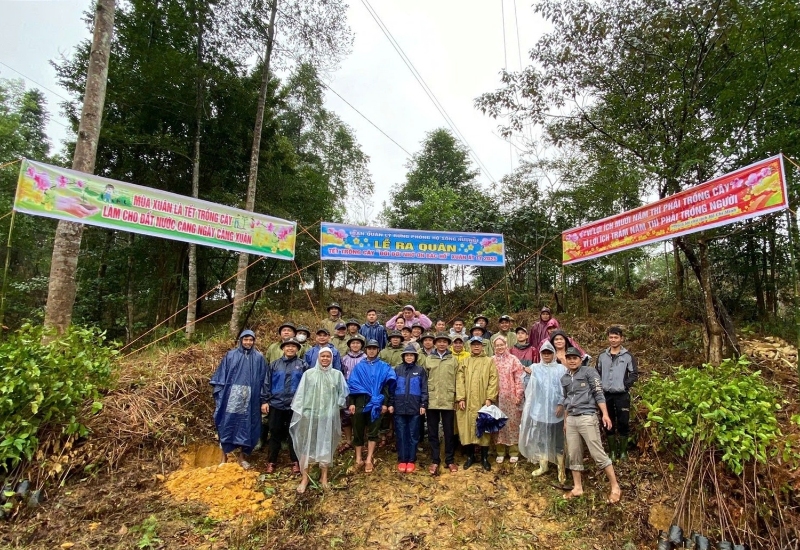 bql rung phong ho song huong 1