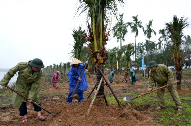 Hương Trà: Lan tỏa phong trào “Tết trồng cây” đời đời nhớ ơn Bác Hồ